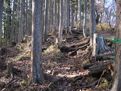20181115hike (162)